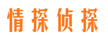 齐河调查公司